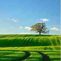 js浏‌览﻿器‍插​件‍开﻿发﻿